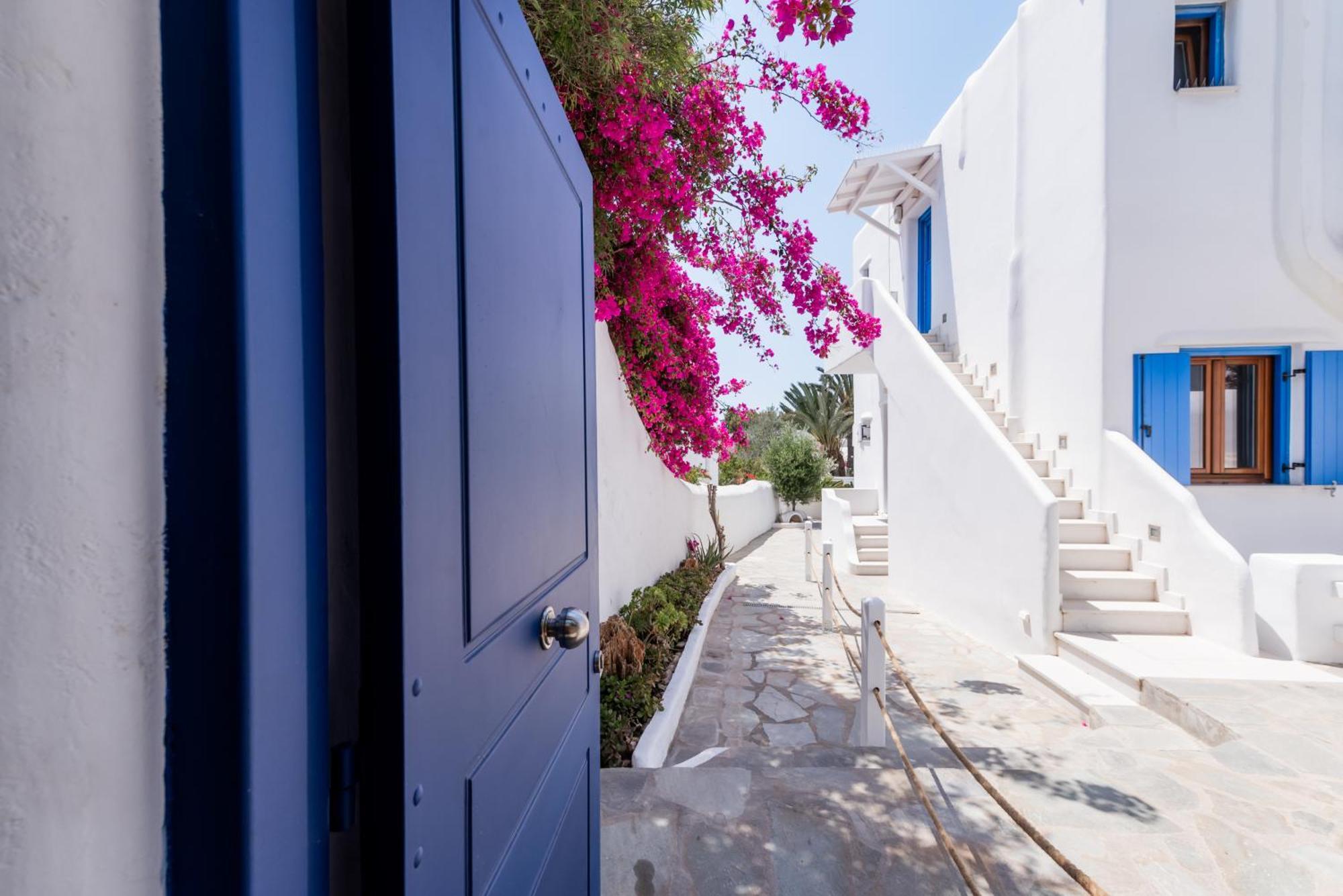 Olive Tree & Capari Mykonos Town Homes & Apartments With Pool! Eksteriør bilde